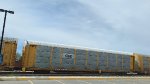 CSX B3038 (Body) TTGX 973525 (Flat)